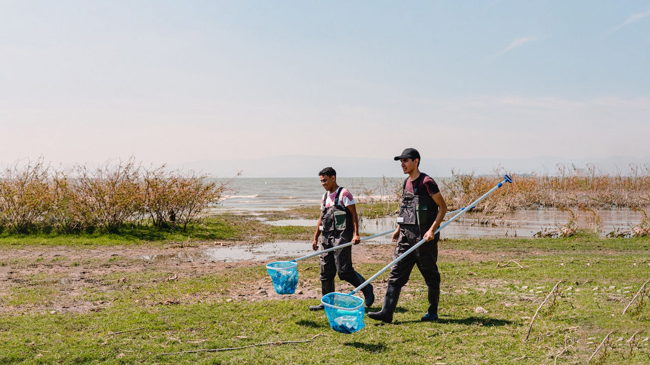 Voluntarios limpiando el lago