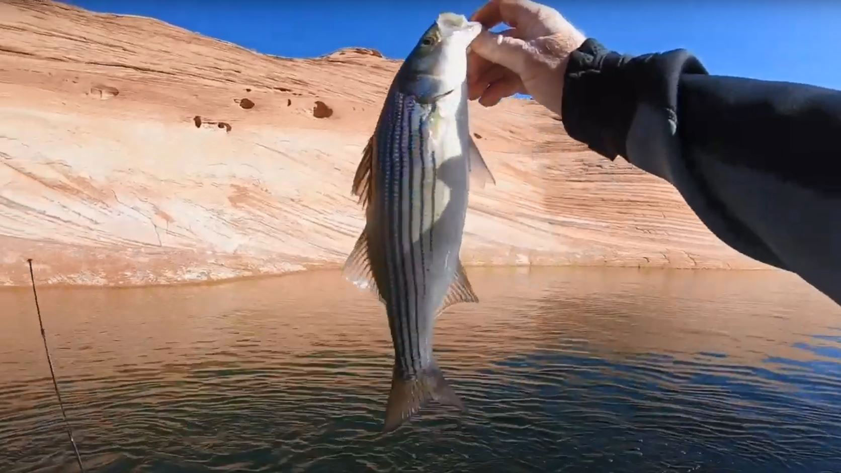 Homme tenant un poisson au Lac Powell